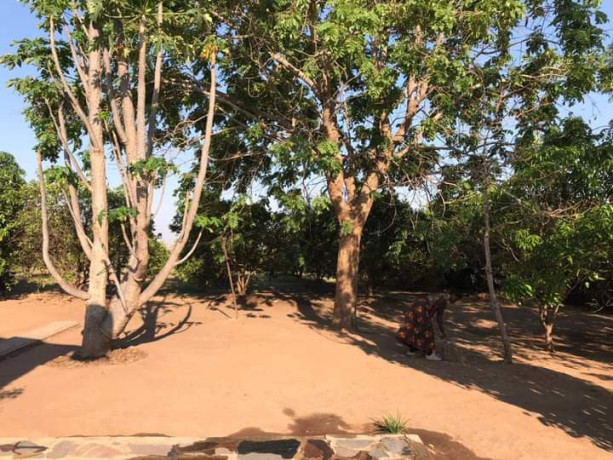 4-bedroom-farm-house-for-rent-in-shimabala-big-1