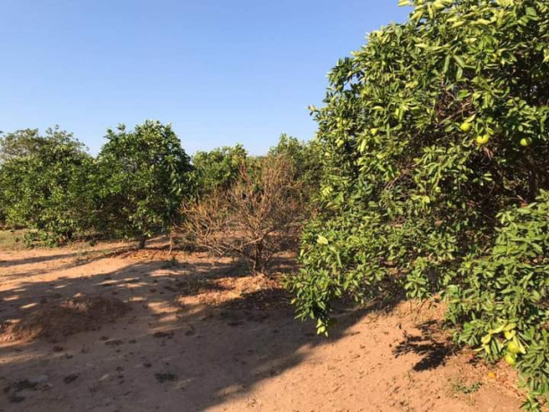 4-bedroom-farm-house-for-rent-in-shimabala-big-0