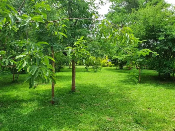 3-bedroom-house-for-rent-in-shimabala-big-1