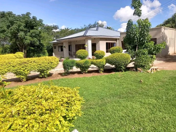 3-bedroom-house-for-rent-in-shimabala-big-3