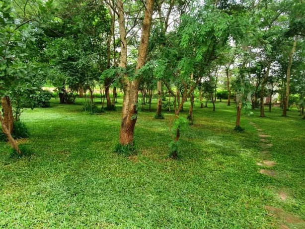 3-bedroom-house-for-rent-in-shimabala-big-4