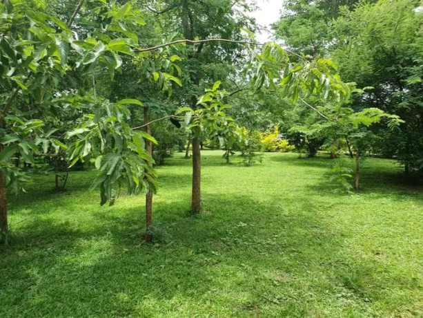 3-bedroom-house-for-rent-in-shimabala-big-8