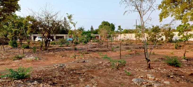 land-for-sale-in-ibex-meanwood-big-4