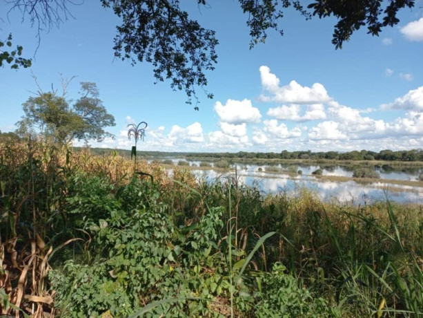 300-hectare-land-for-sale-in-zambezi-big-1