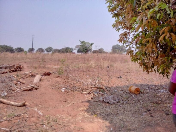 40m-by-30m-plots-for-sale-in-chifwema-big-3