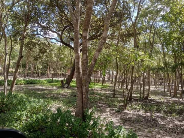 5-bedroom-house-for-sale-in-silverest-big-3