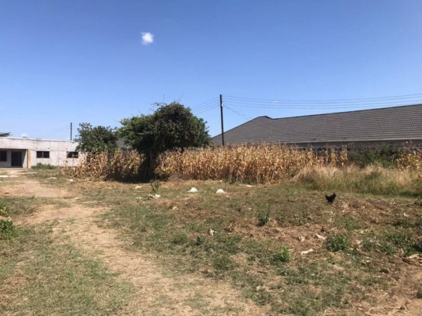 3-by-2-bedroom-unfinished-flats-for-sale-in-ranchdale-obama-big-6