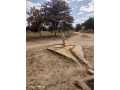 41-hectare-farm-for-sale-in-chongwe-small-8