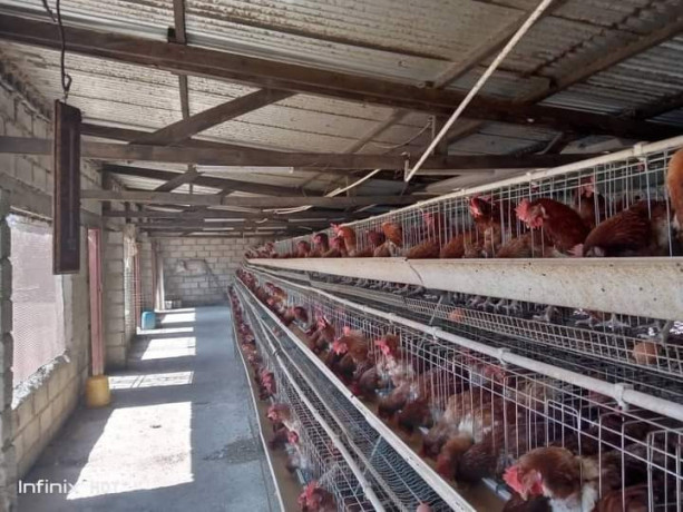 41-hectare-farm-for-sale-in-chongwe-big-3