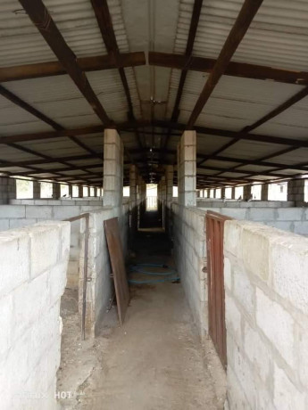 41-hectare-farm-for-sale-in-chongwe-big-2