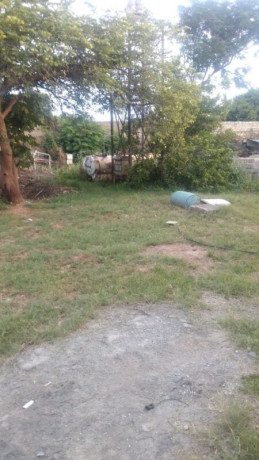 11-acre-plot-for-sale-in-roma-big-4