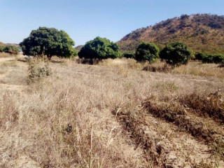 land-for-sale-in-kafue-east