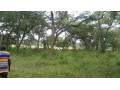 land-for-sale-in-mpongwe-small-2
