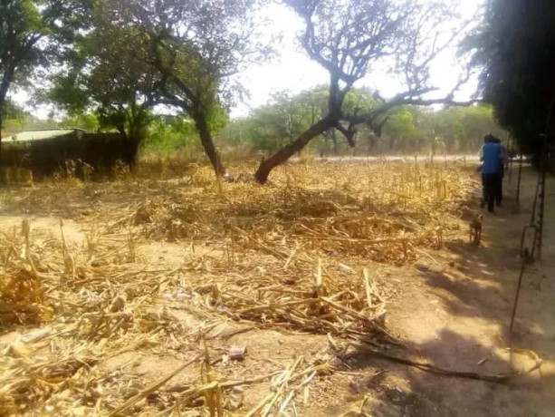 20m-by-30m-plot-for-sale-in-state-lodge-big-1