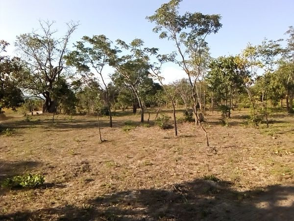 17-acres-land-for-sale-in-chongwe-big-0