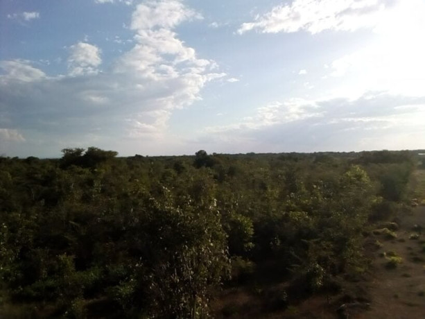 17-acres-land-for-sale-in-chongwe-big-4