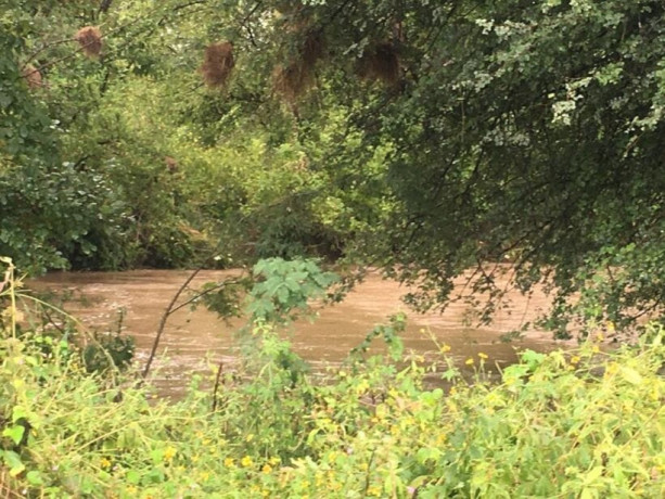 80-hectares-land-for-sale-in-siavonga-big-4