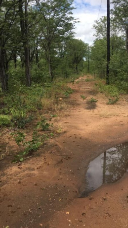 80-hectares-land-for-sale-in-siavonga-big-2