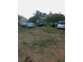 plot-for-sale-in-avondale-small-0