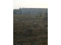 plots-for-sale-in-silverest-small-1