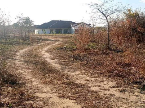 plots-for-sale-in-silverest-big-4