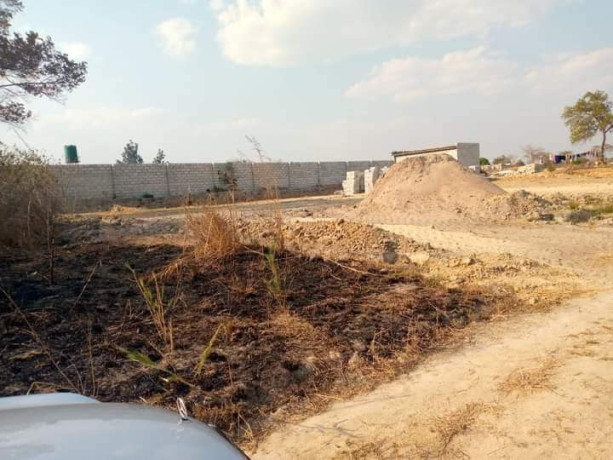 plots-for-sale-in-silverest-big-3