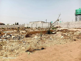 prime-plot-for-sale-in-chalala