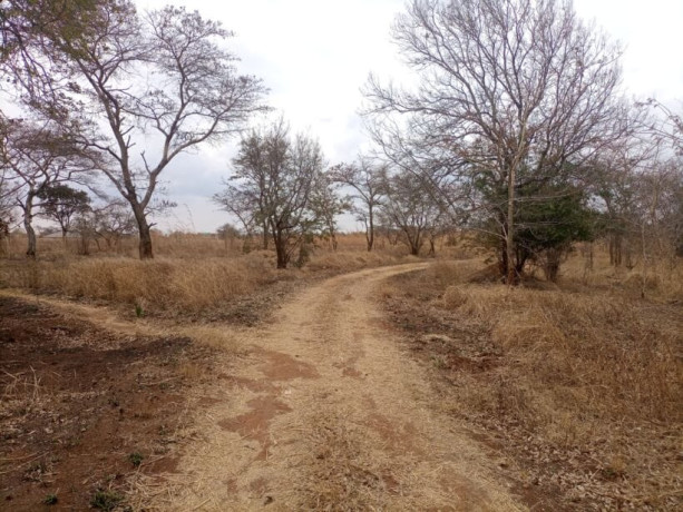 15-acre-plot-for-sale-in-lusaka-west-big-3