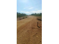 200-hectares-land-for-sale-in-lusaka-west-small-8
