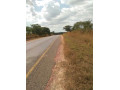 200-hectares-land-for-sale-in-lusaka-west-small-7