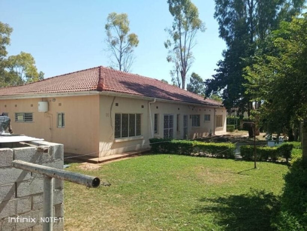 4-bedroom-house-for-rent-in-ibex-meanwood-big-7