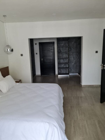 luxury-2-bedroom-apartment-for-rent-in-longacres-big-7