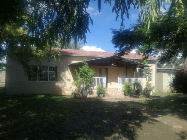 one-bedroom-flat-for-rent-in-northmead-big-3
