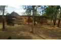 farm-for-sale-in-kalulushi-small-1