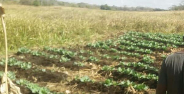 farm-for-sale-in-kalulushi-big-8