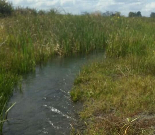 farm-for-sale-in-kalulushi-big-5