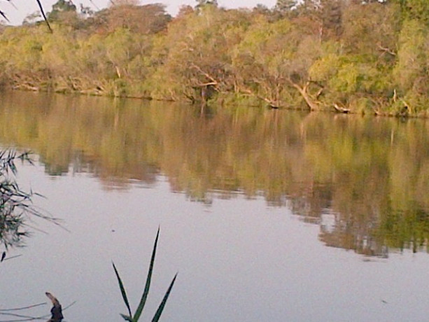 farm-for-sale-in-mpongwe-big-2