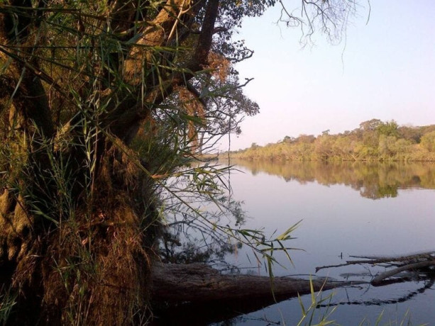 farm-for-sale-in-mpongwe-big-4