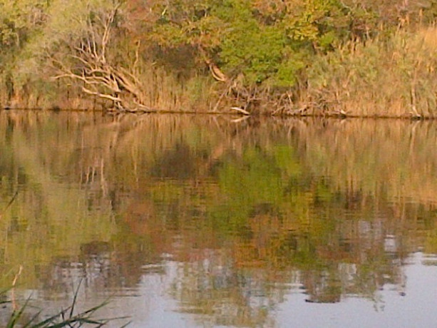 farm-for-sale-in-mpongwe-big-1