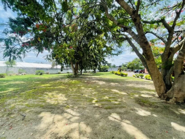 property-for-sale-in-chudleigh-big-8