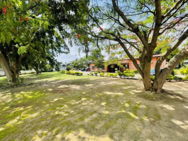 property-for-sale-in-chudleigh-big-9