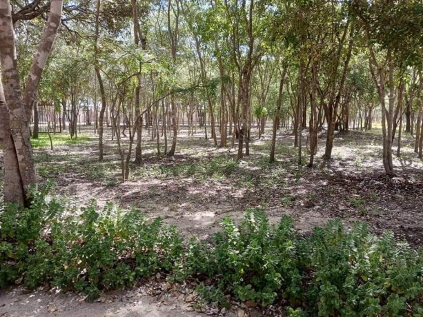 property-for-sale-in-silverest-big-1