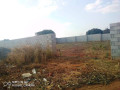 plot-for-sale-in-lilayi-small-0