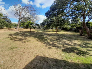 house-for-sale-in-roma