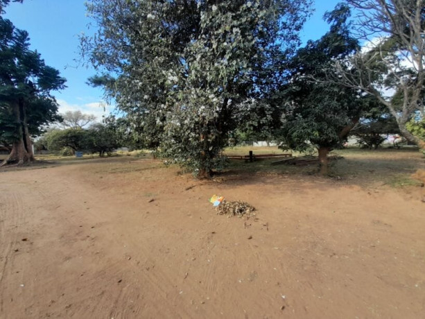 house-for-sale-in-roma-big-6