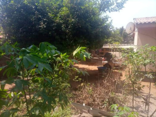 3-bedroom-house-for-sale-in-libala