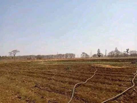 10-acres-farm-for-sale-in-makeni-konga-big-7