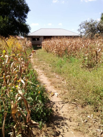 5-acres-for-sale-in-kalundu-big-0