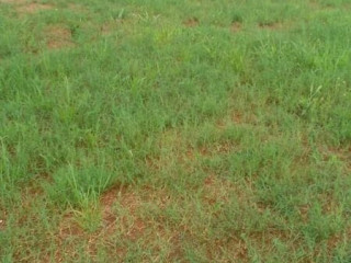 land-for-sale-in-8-miles