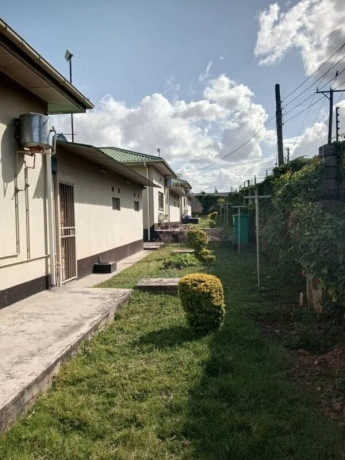 3-bedroom-apartments-for-sale-in-olympia-park-big-7